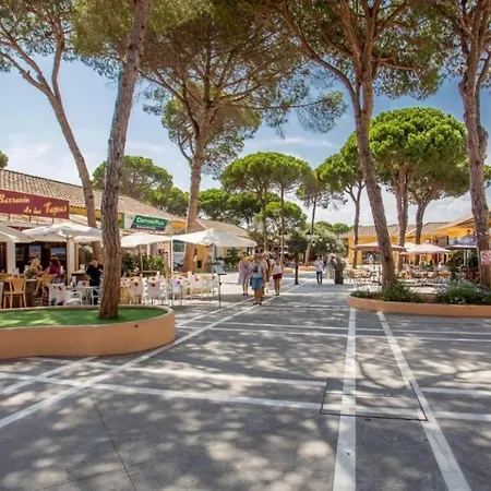 Luxury Side In Playa Daire Marbella